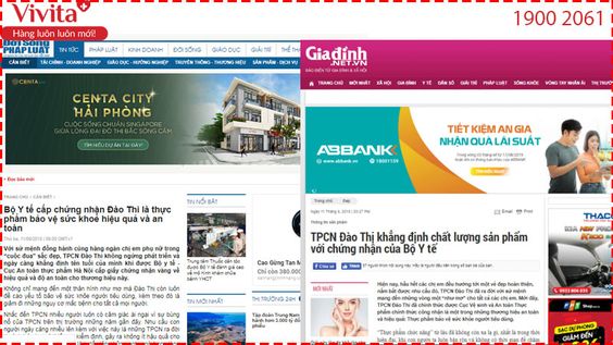 ĐÁNH GIÁ BỘ SẢN PHẨM ĐÀO THI TỪ CHUYÊN GIA VÀ KHÁCH HÀNG
