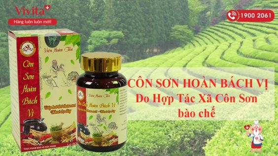 [GIẢI MÃ] Viên uống Côn Sơn Hoàn Bách Vị có tốt không? Mua ở đâu?