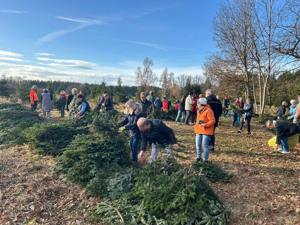 Christbaumverkauf am 07.12.2024 von 8:00 bis 13:00 Uhr auf der Lindlwiese am Rathaus. Bio-Fichten aus eigener Kultur in Tutzing und Nordmanntannen aus dem Oberland. Lieferservice im Gemeindegebiet Tutzing.