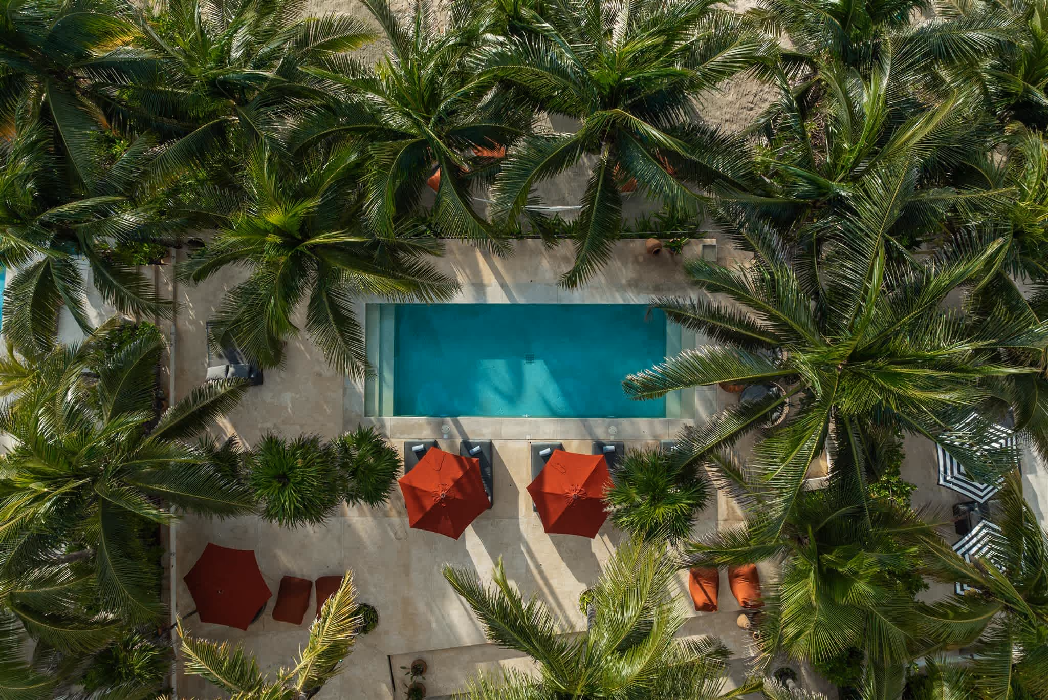 Outdoor pool with clear blue water, surrounded by palm trees, beige cushioned seating, and ocean view in the background.