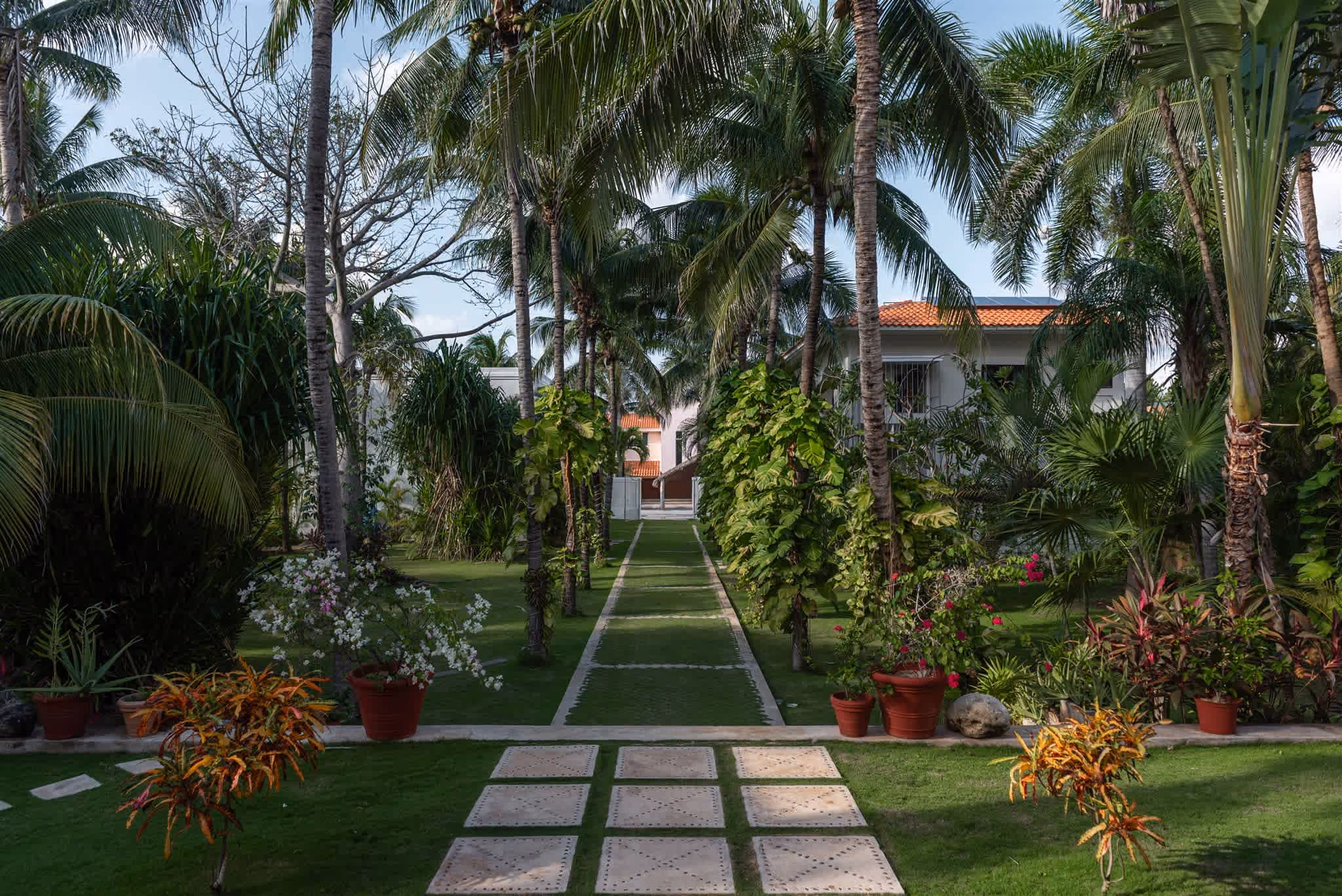 Outdoor pool with clear blue water, surrounded by palm trees, beige cushioned seating, and ocean view in the background.