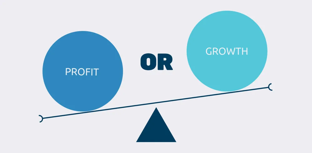 profit vs growth in business