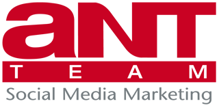 ant team digital marketing agency singapore