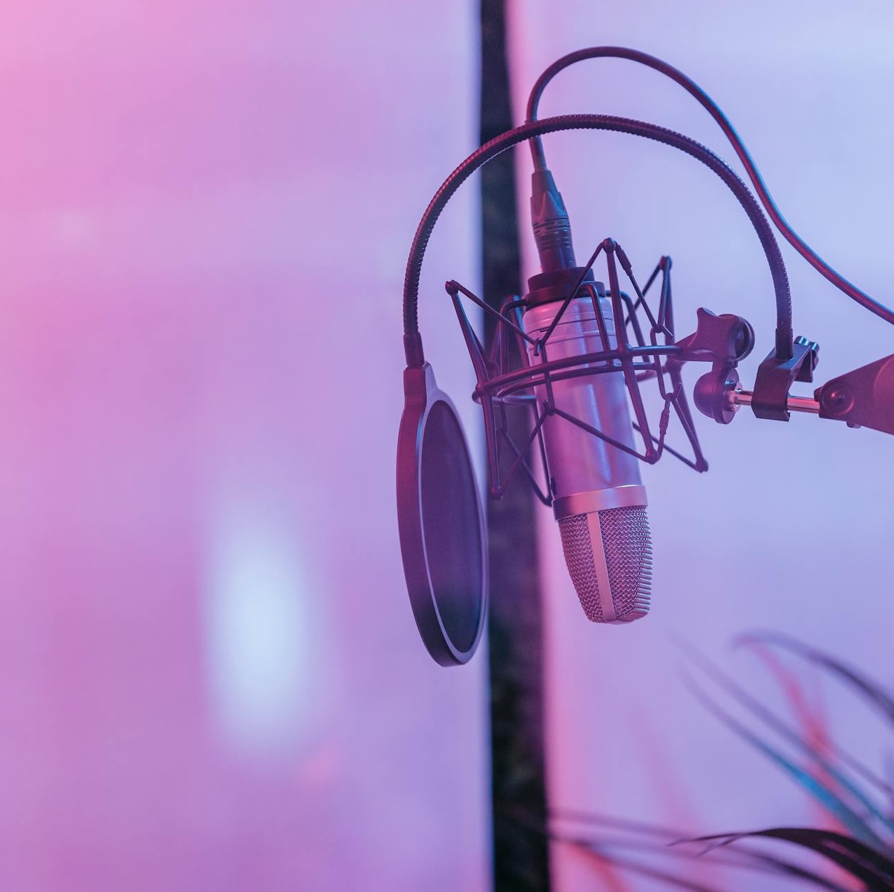 Picture of recording studio microphone