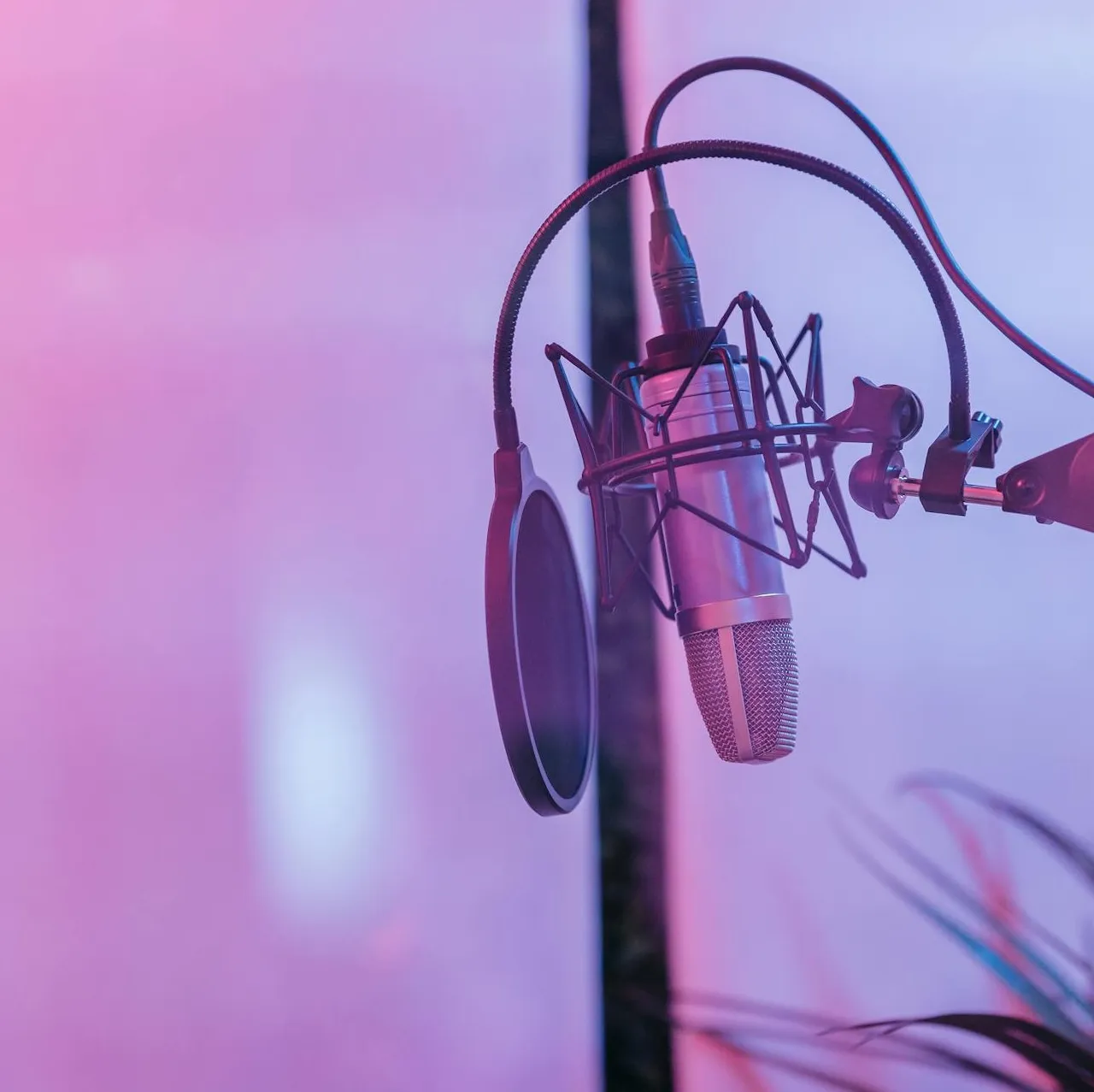 Picture of recording studio microphone