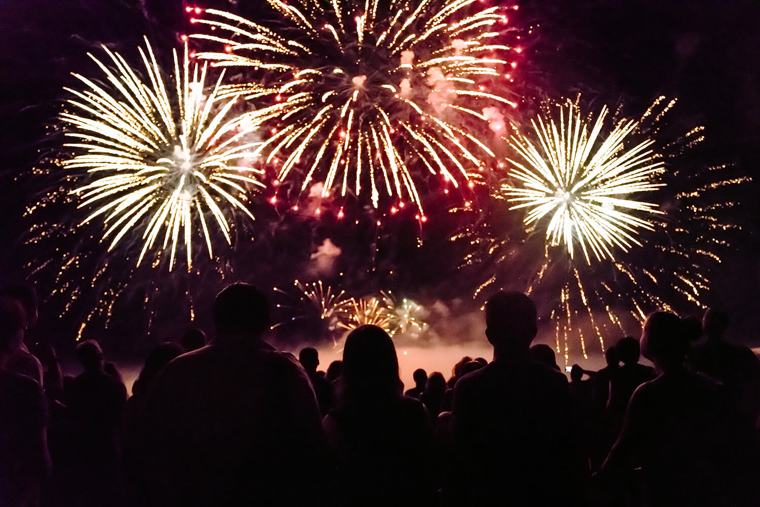 Crowd enjoying fireworks at night