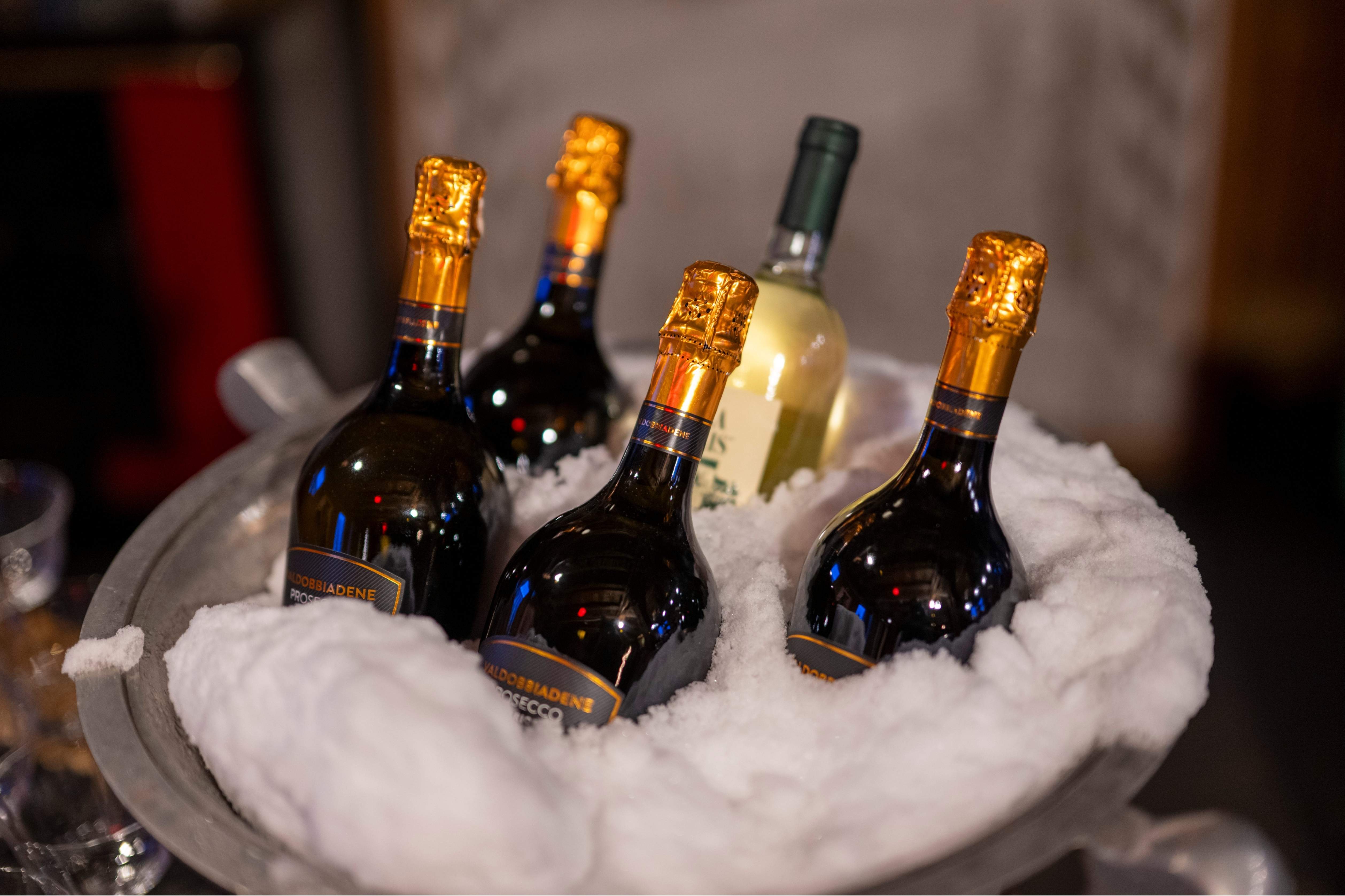 Marmot's Alpine Fireside Chats | Marmot Finance