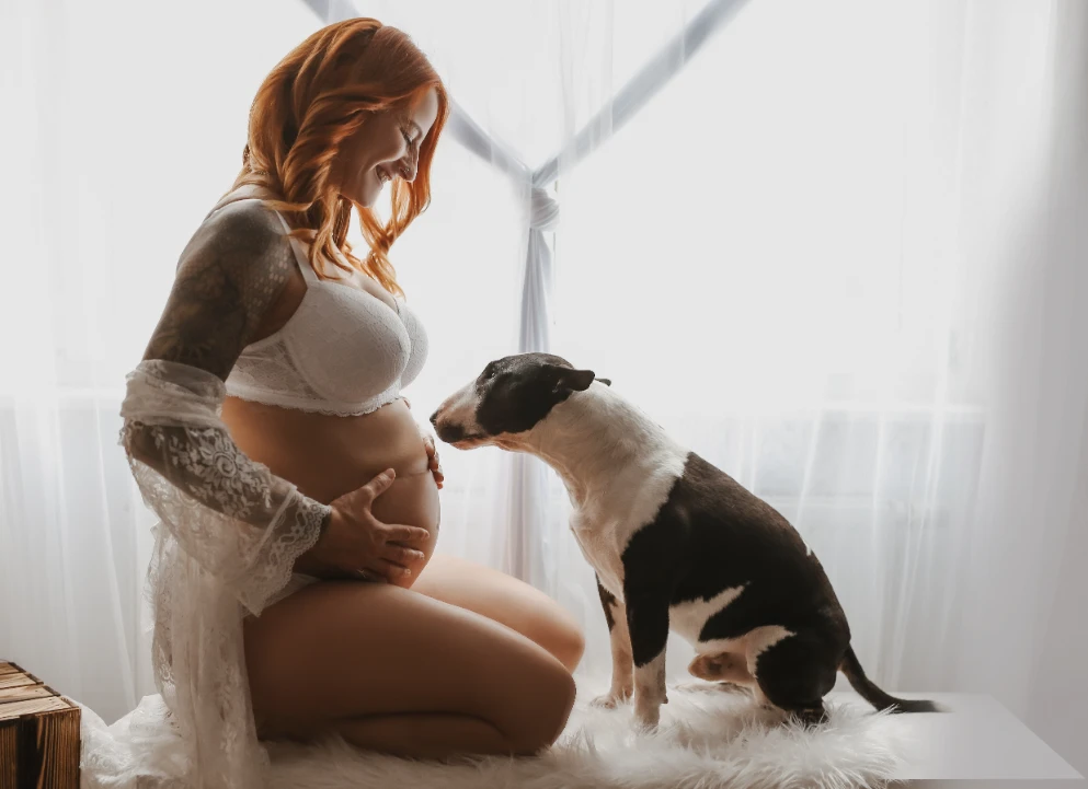 Babybauch - Tageslichtstudio - Fotografie Schneider Rostock
