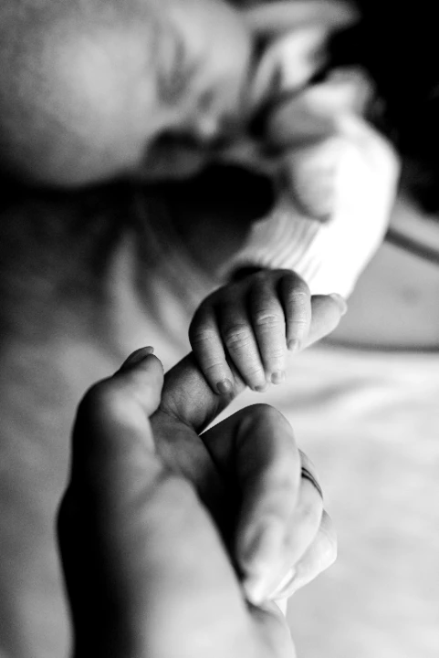 Familie-Baby - Tageslichtstudio - Fotografie Schneider Rostock