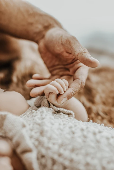 Familie-Baby - Tageslichtstudio - Fotografie Schneider Rostock