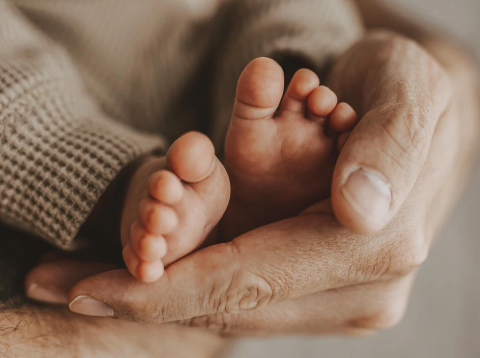 Familie-Baby - Tageslichtstudio - Fotografie Schneider Rostock