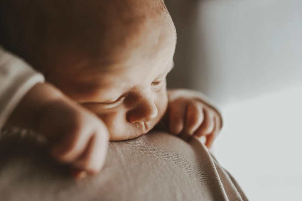 Familie-Baby - Tageslichtstudio - Fotografie Schneider Rostock