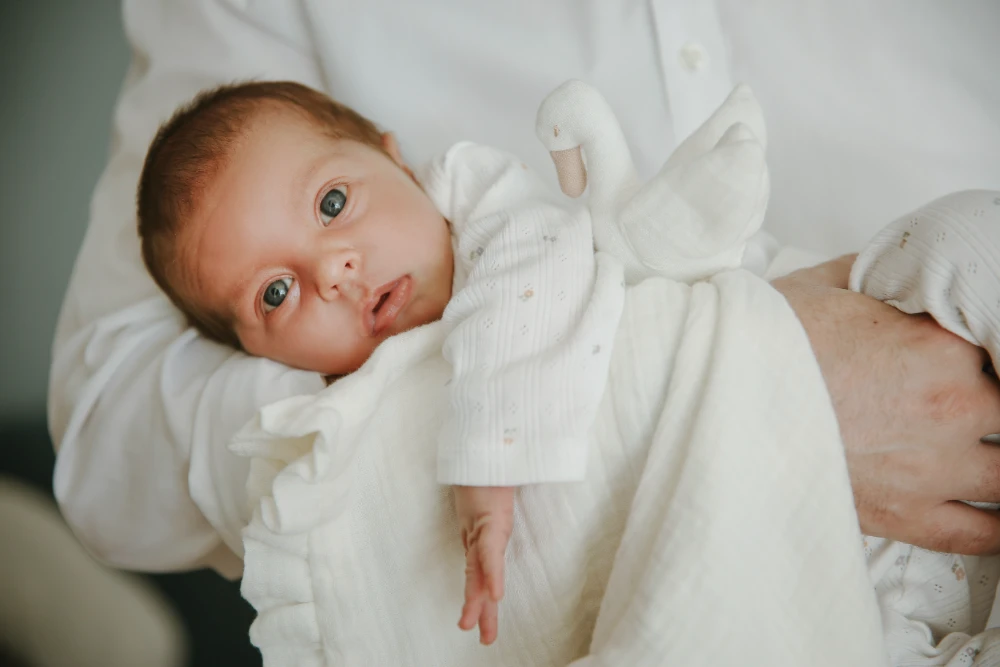 Familie-Baby - Zuhause - Fotografie Schneider Rostock