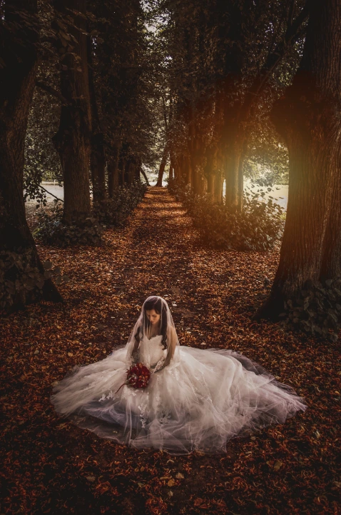 Hochzeitsfotografie - Fotografie Schneider Rostock