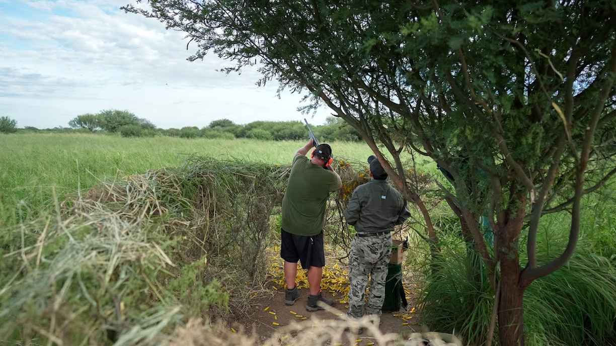 Dove hunt blind near the river at Sierra Brava