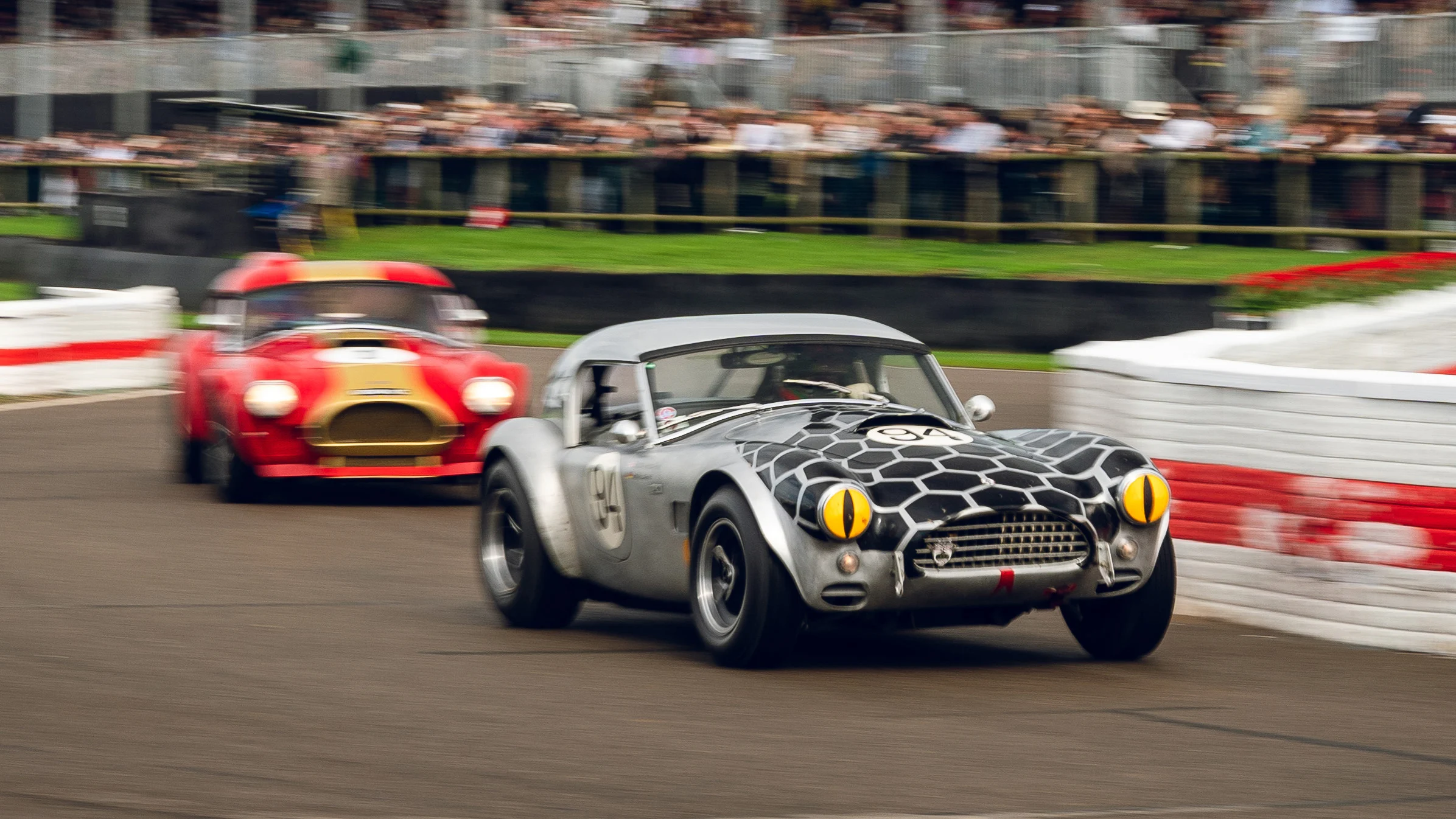 Organise a fundraiser