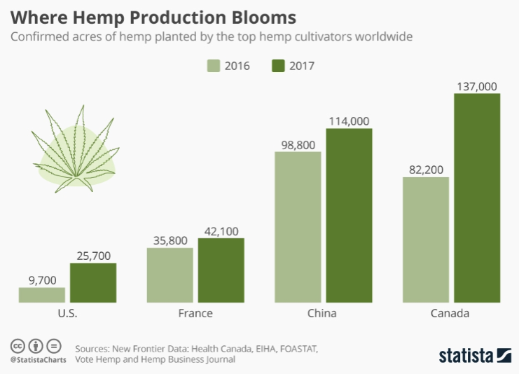 A graph of hemp production bloomsAI-generated content may be incorrect.