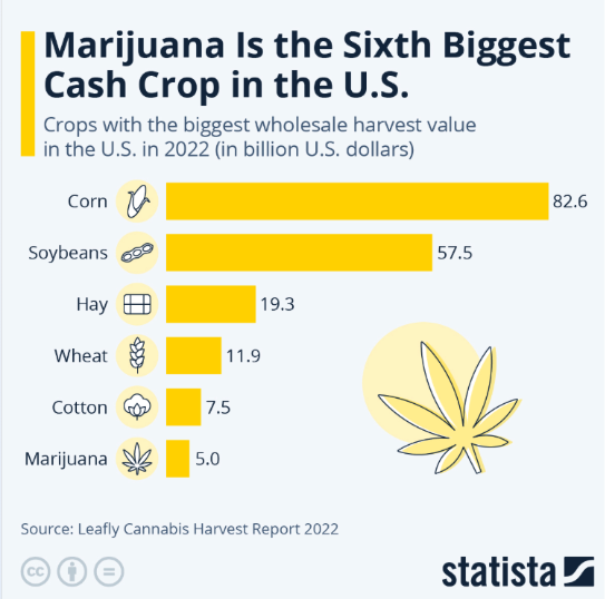A graph of marijuana cropAI-generated content may be incorrect.