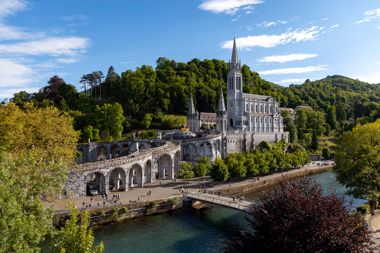 A view of the Basilicas, photographed from high up, across the river, with green trees behind and blue skies above