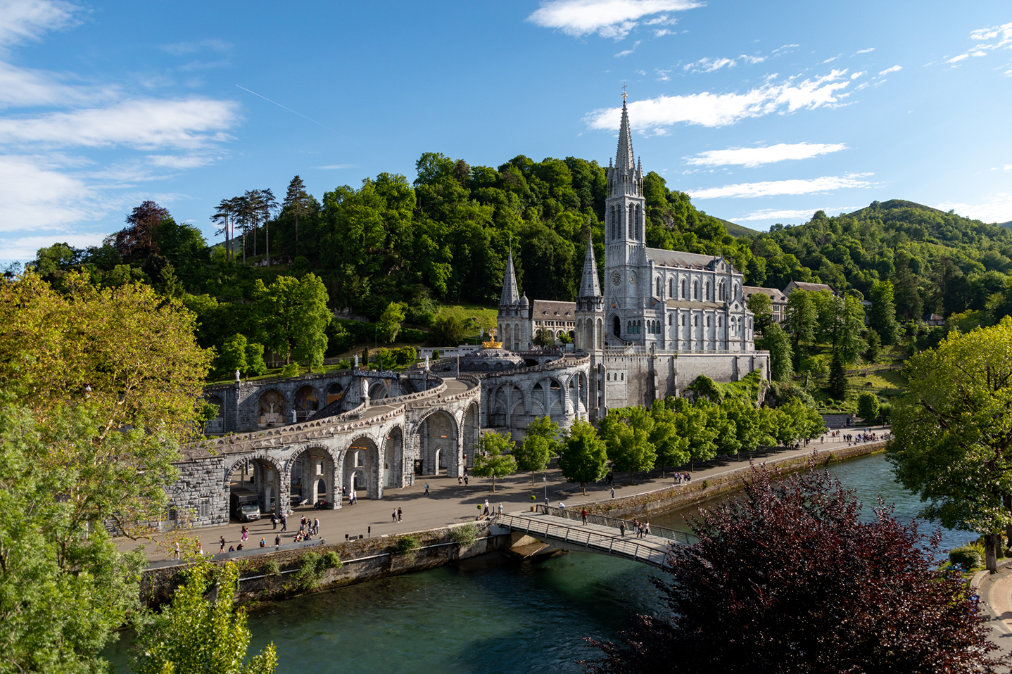 A view of the Basilicas, photographed from high up, across the river, with green trees behind and blue skies above