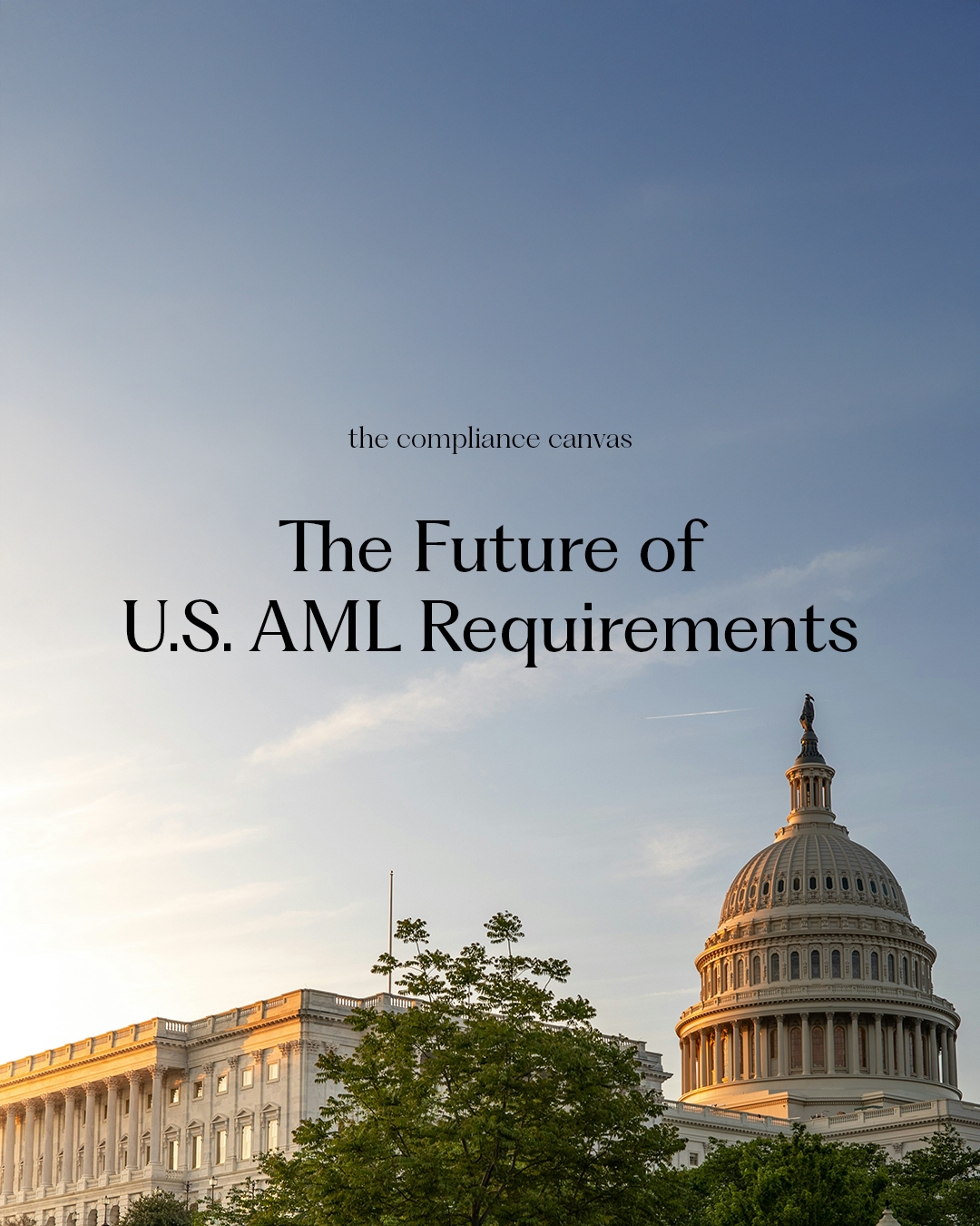Understanding U.S. AML Requirements for Art Dealers