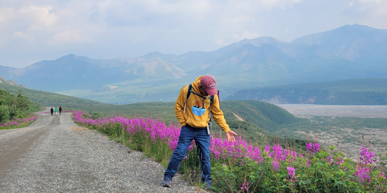 The Best Way to Spend 3 Days in Denali National Park…On A Budget!