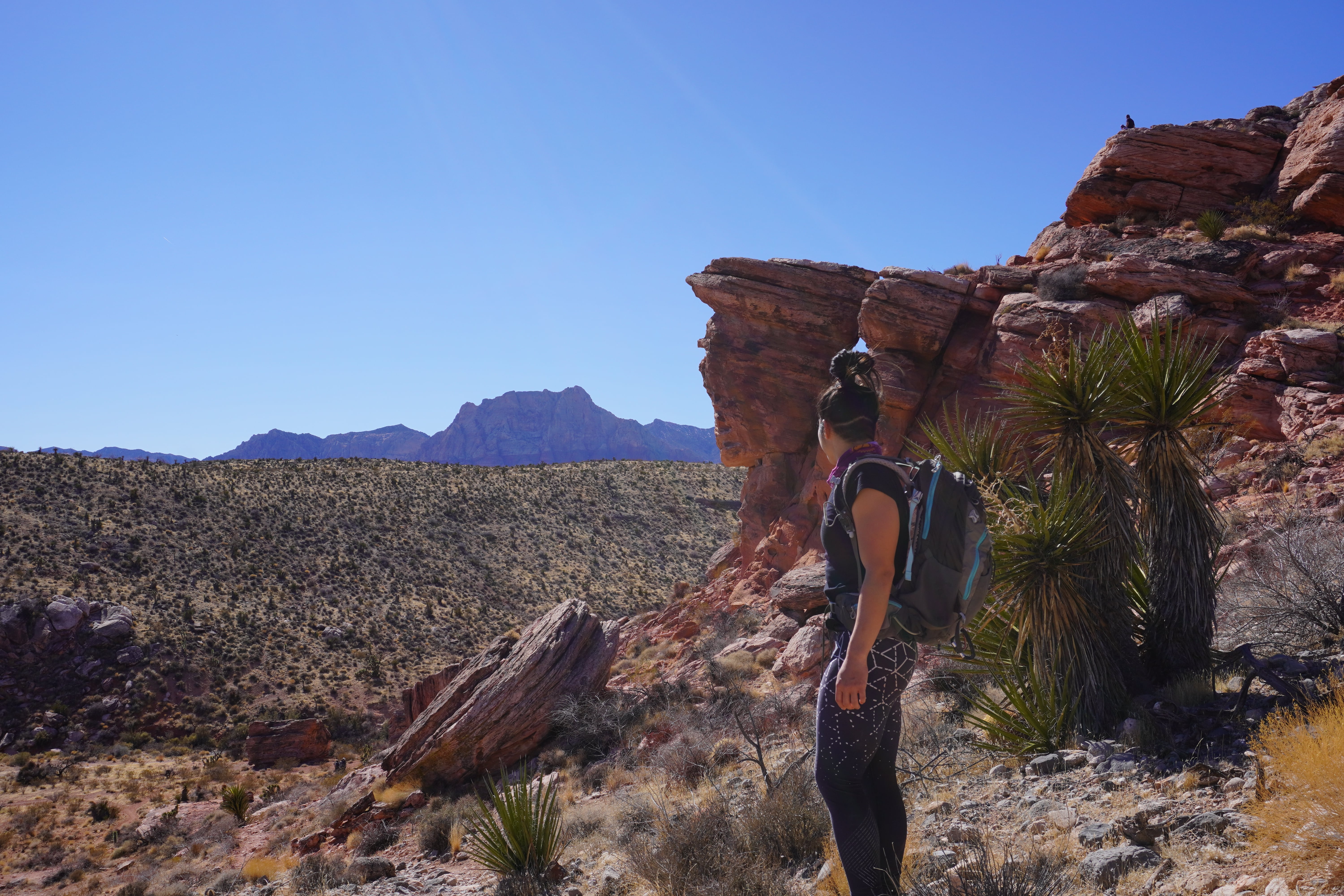 A female hiking in Las Vegas, looking out at red canyons and desert shrubbery.