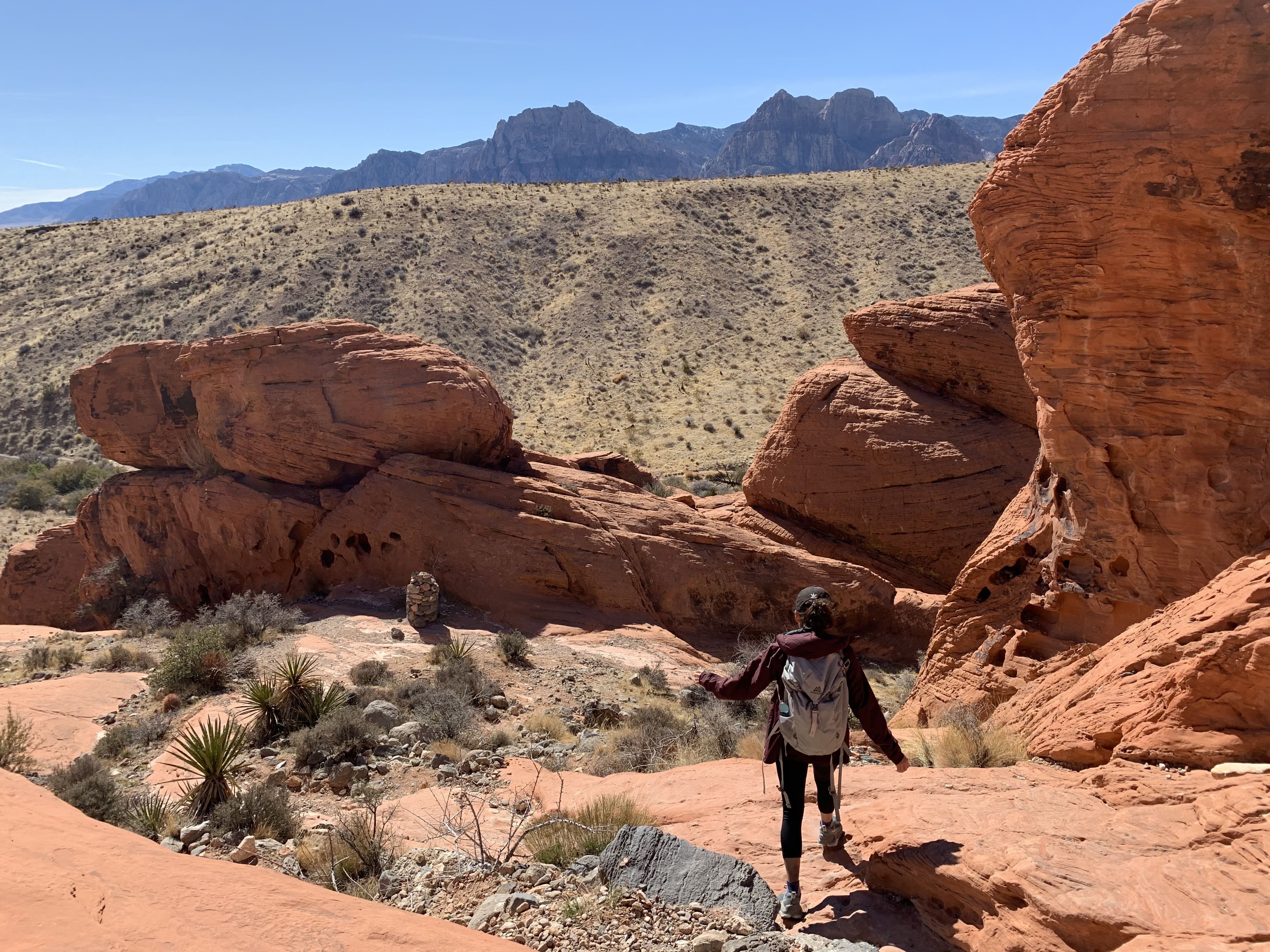 A female hiker a hiking down a trail in Red Rock Canyon, with the red sandstone canyons tall around her. There is green, desert shrubbery scattered. The sky is blue. There are panoramic views of the Red Rock Canyons in the background.