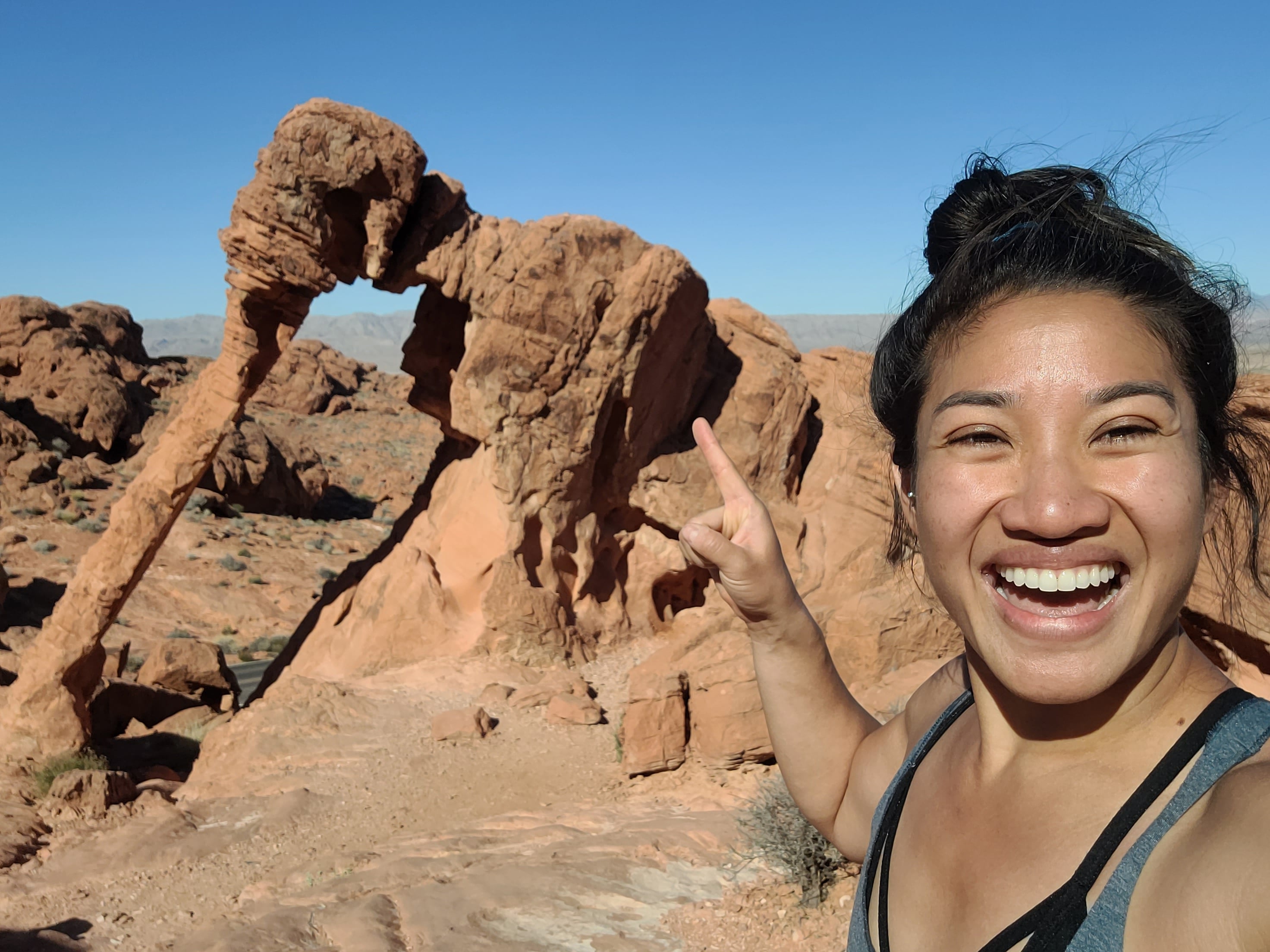 A hiker in Valley of Fire is point to a large, orange rock formation in the shape of an elephant, known as Elephant Rock. This is a must-see in Valley of Fire.