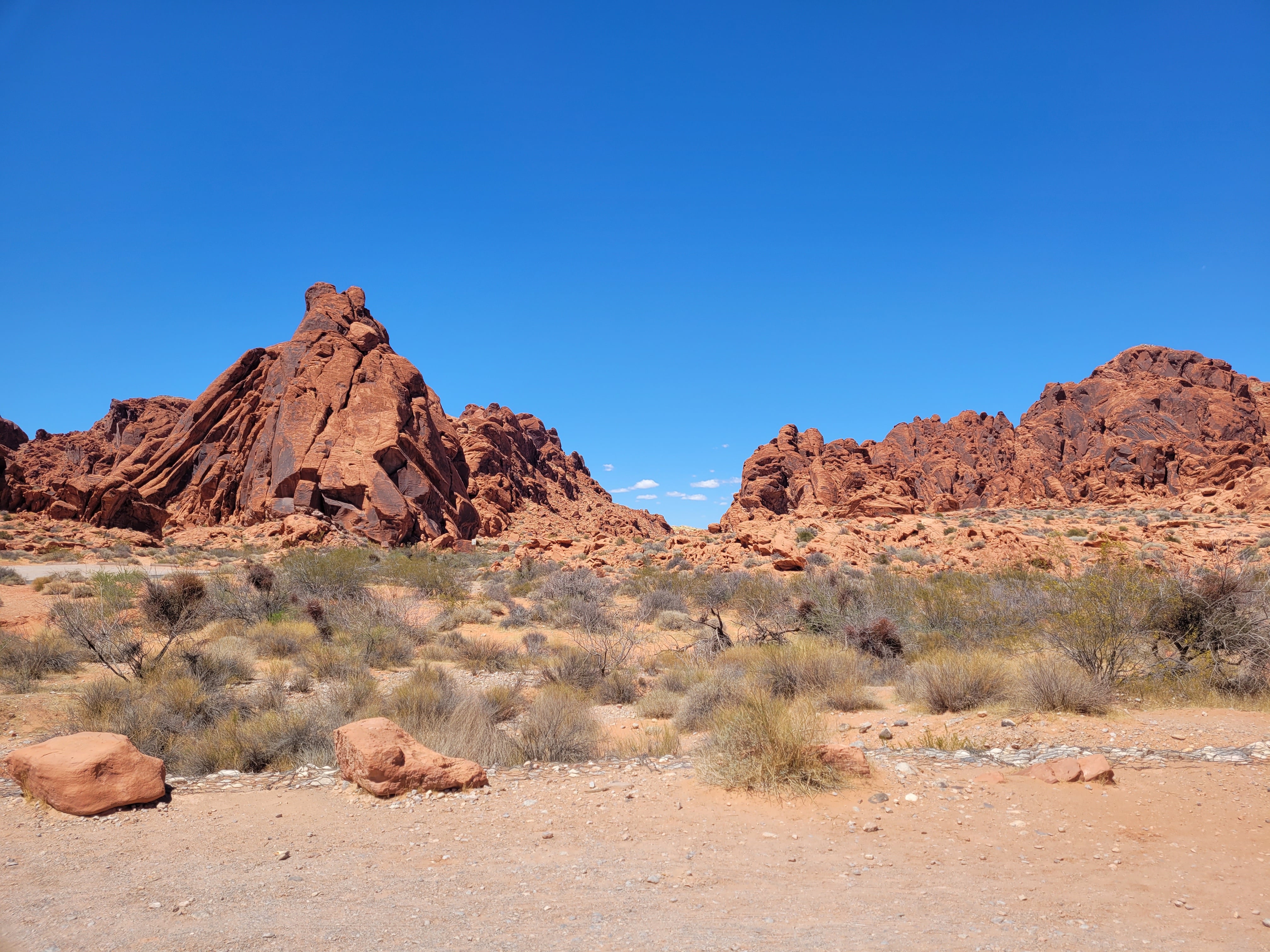Red and orange canyons rising high along the horizon in Valley of Fire near Las Vegas. Desert shrubs are in the foreground and the sky is bright blue.