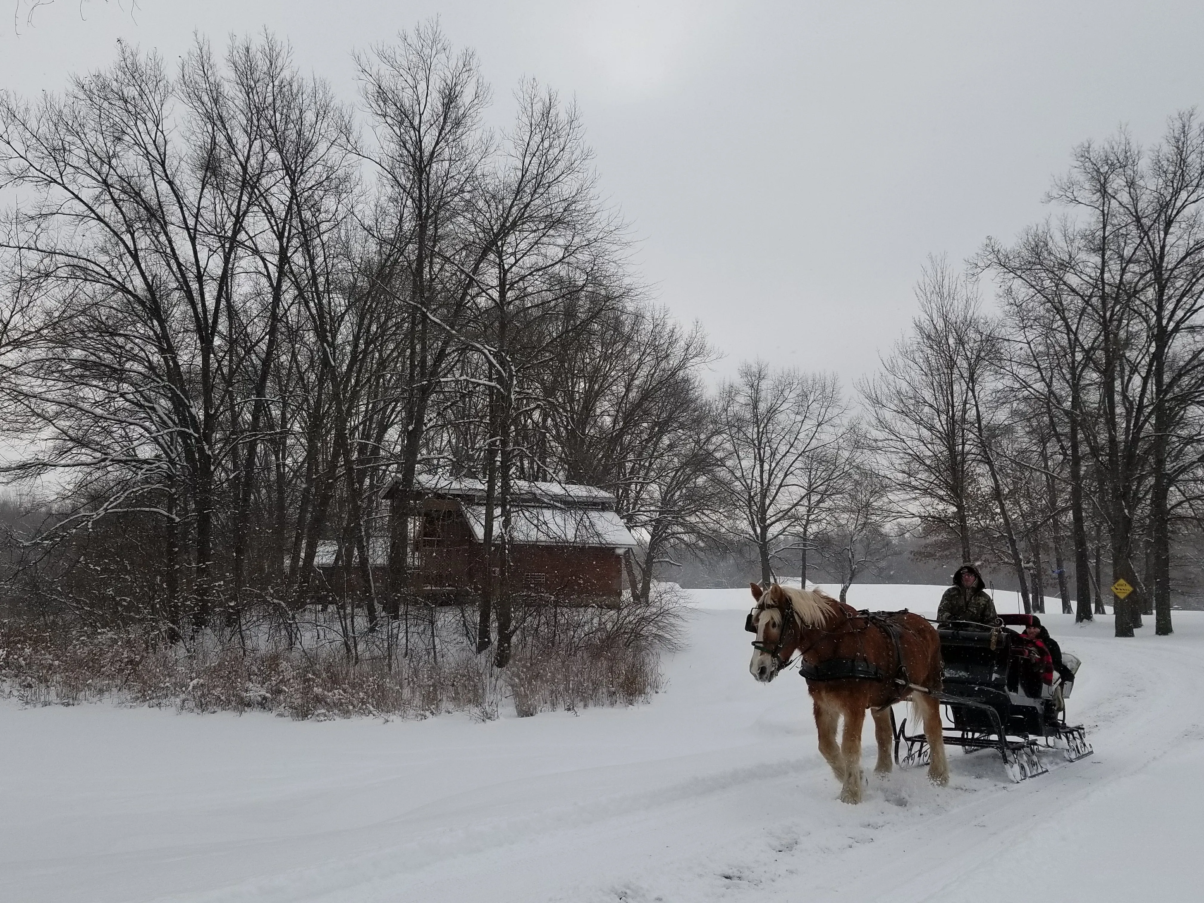 A horse drawn carriage going through the snow.