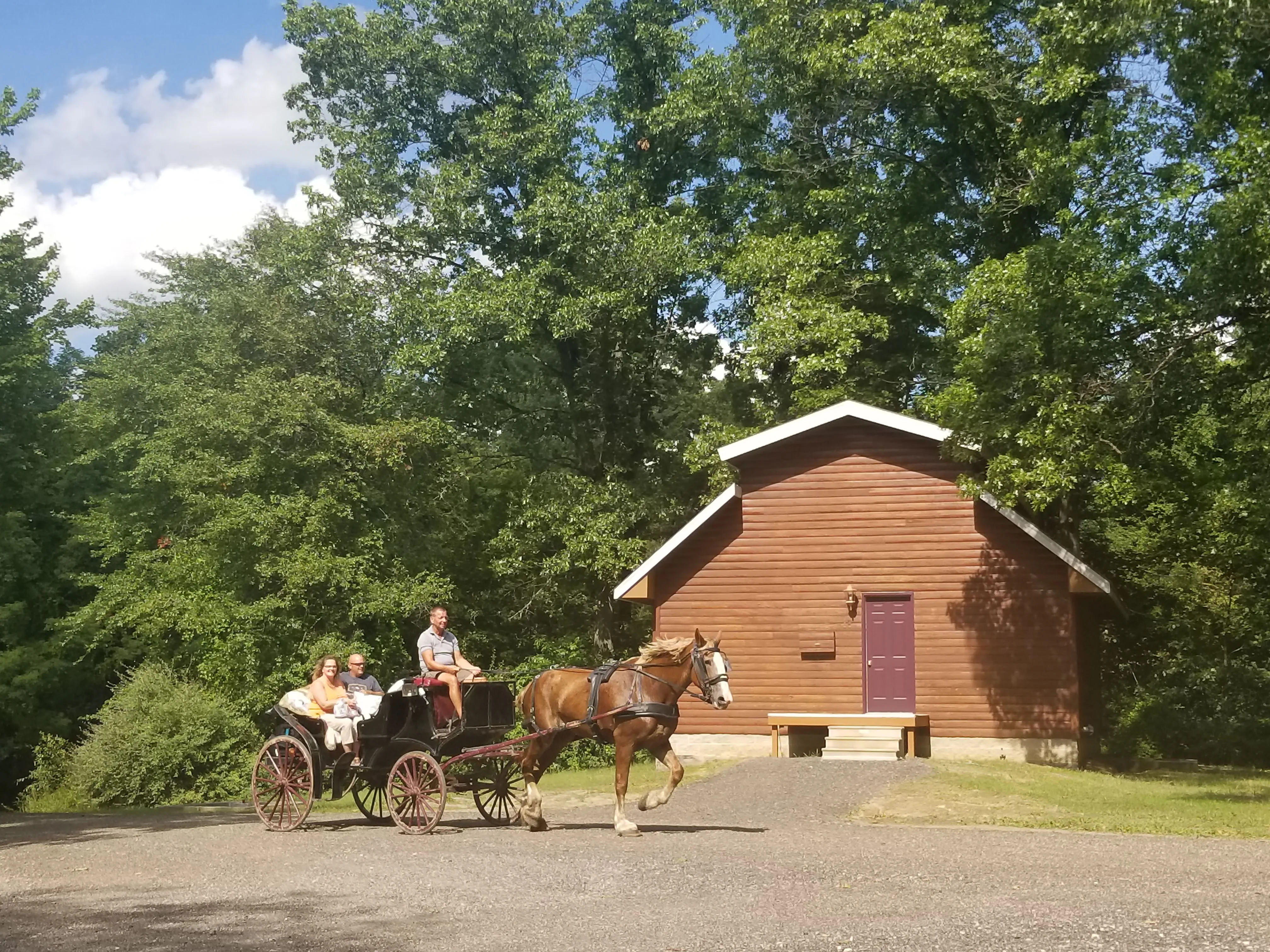 An exterior view of a cabin at Serenity Springs.