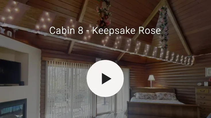 3D video of cabin interior