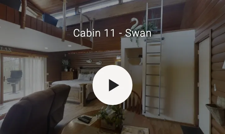 3D video of cabin interior