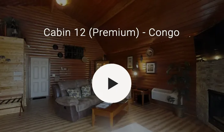 3D video of cabin interior