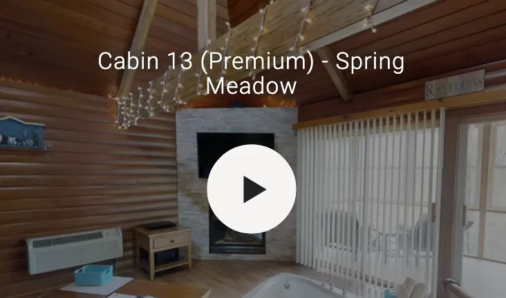 3D video of cabin interior