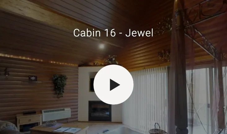 3D video of cabin interior