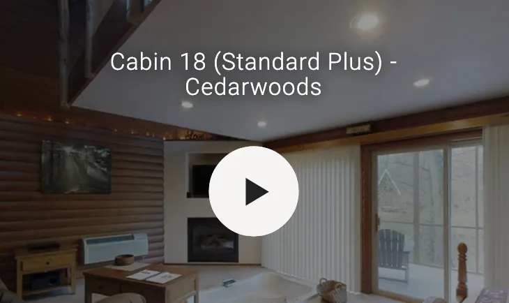 3D video of cabin interior