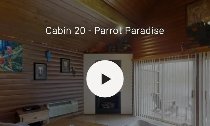 3D video of cabin interior