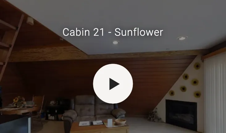 3D video of cabin interior