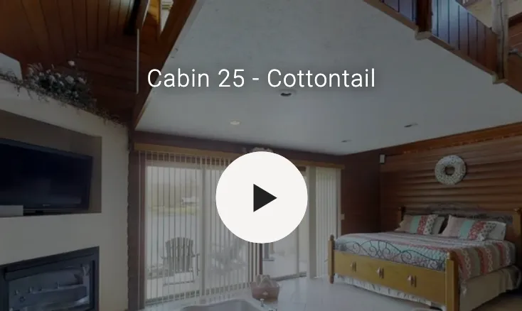 3D video of cabin interior