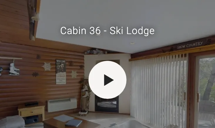 3D video of cabin interior