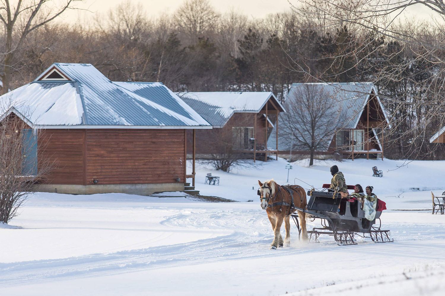 outdoor winter horse and sleigh rides
