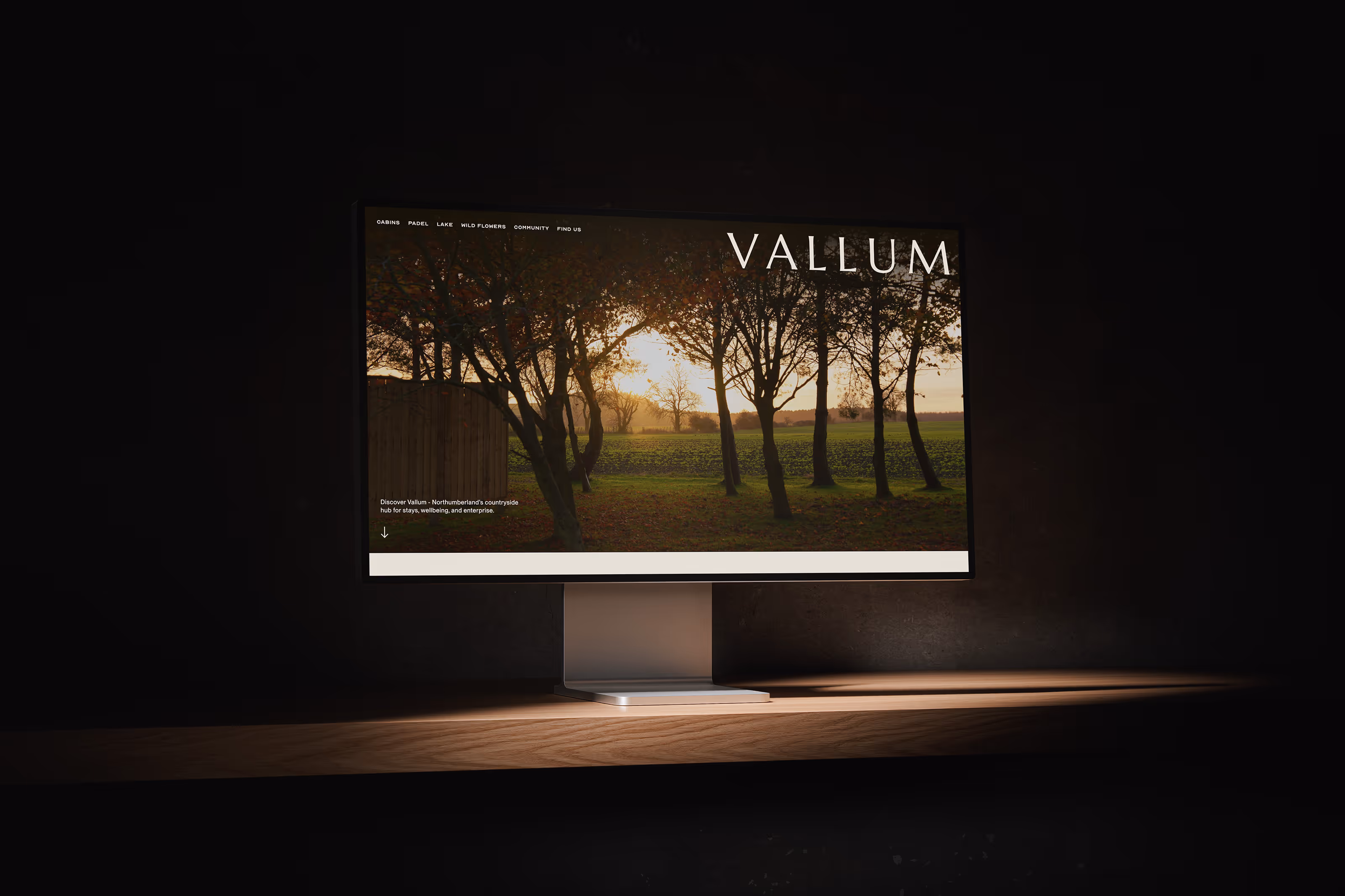 Vallum homepage design