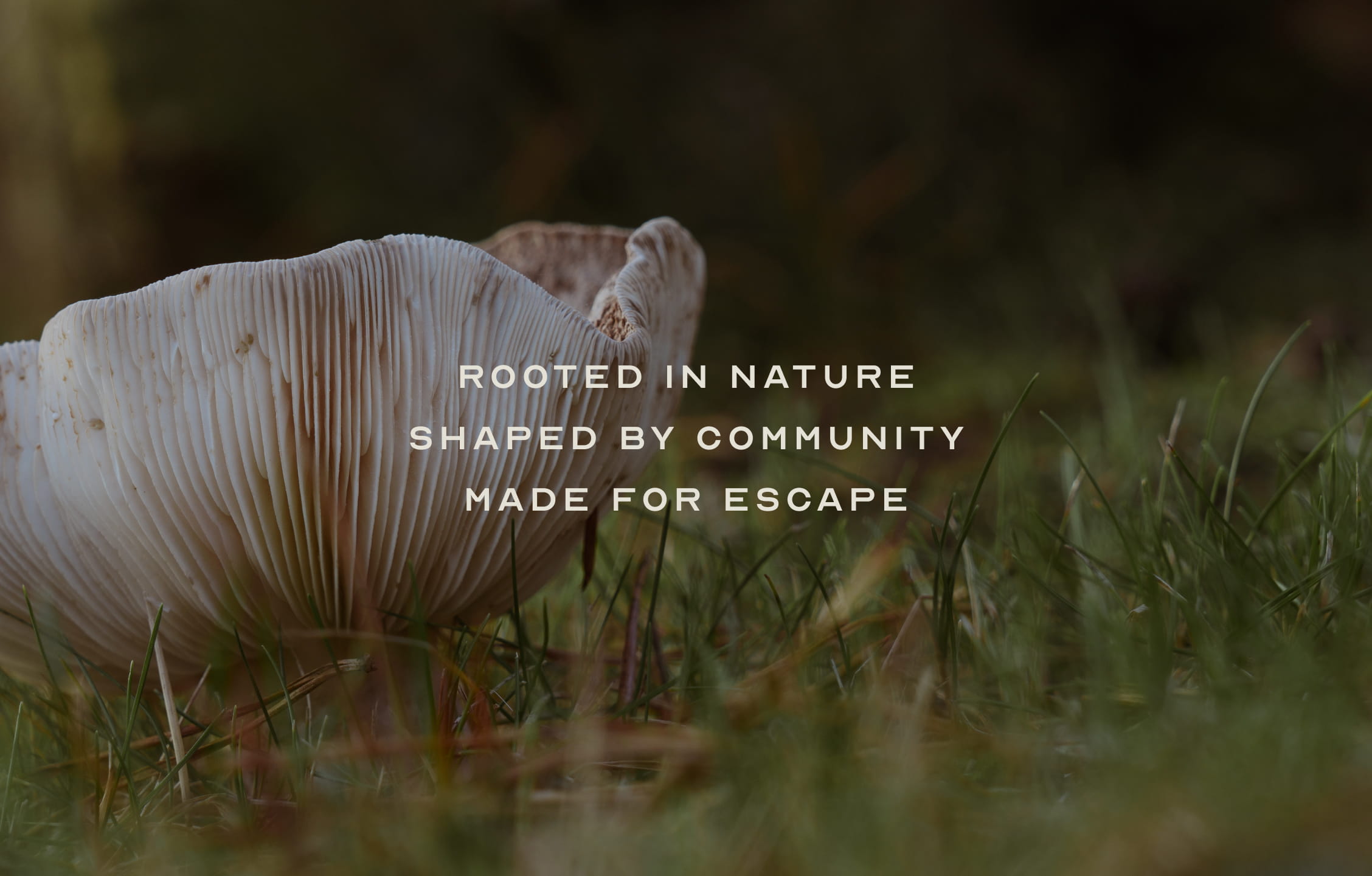 Rooted in nature, shaped by community, made for escape
