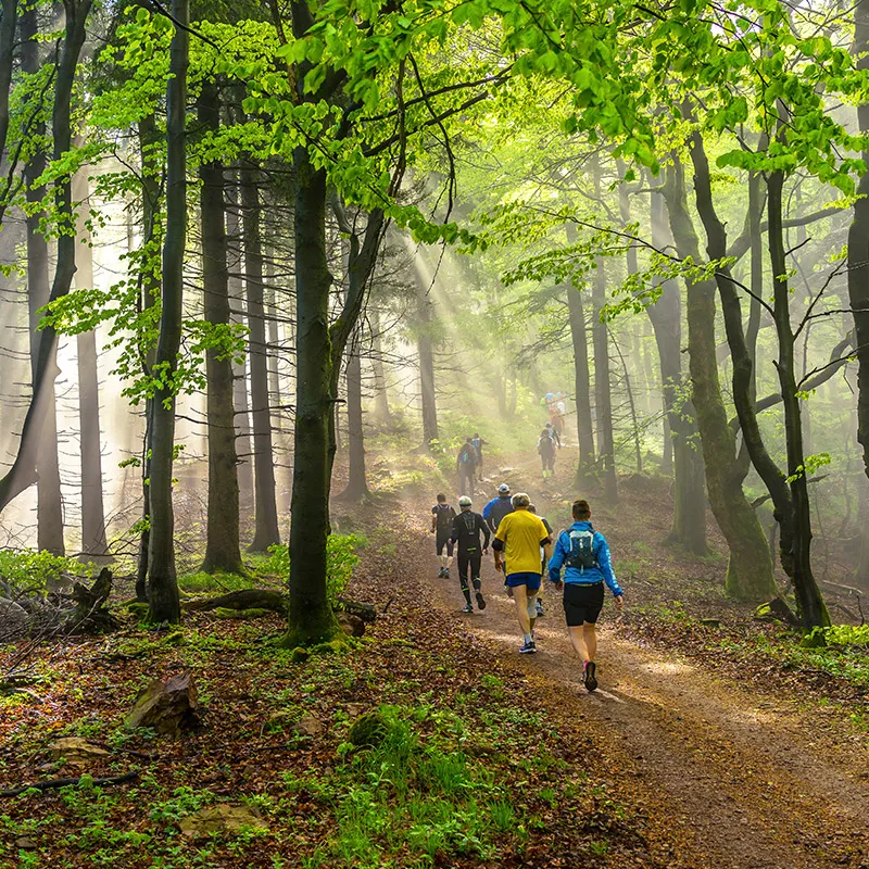 Running at Forest