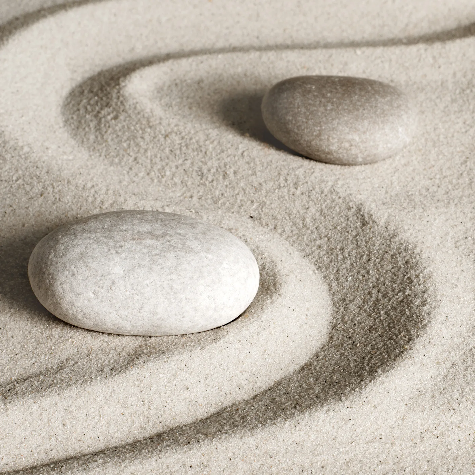 wellness at TAJ