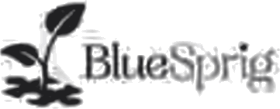 BlueSprig