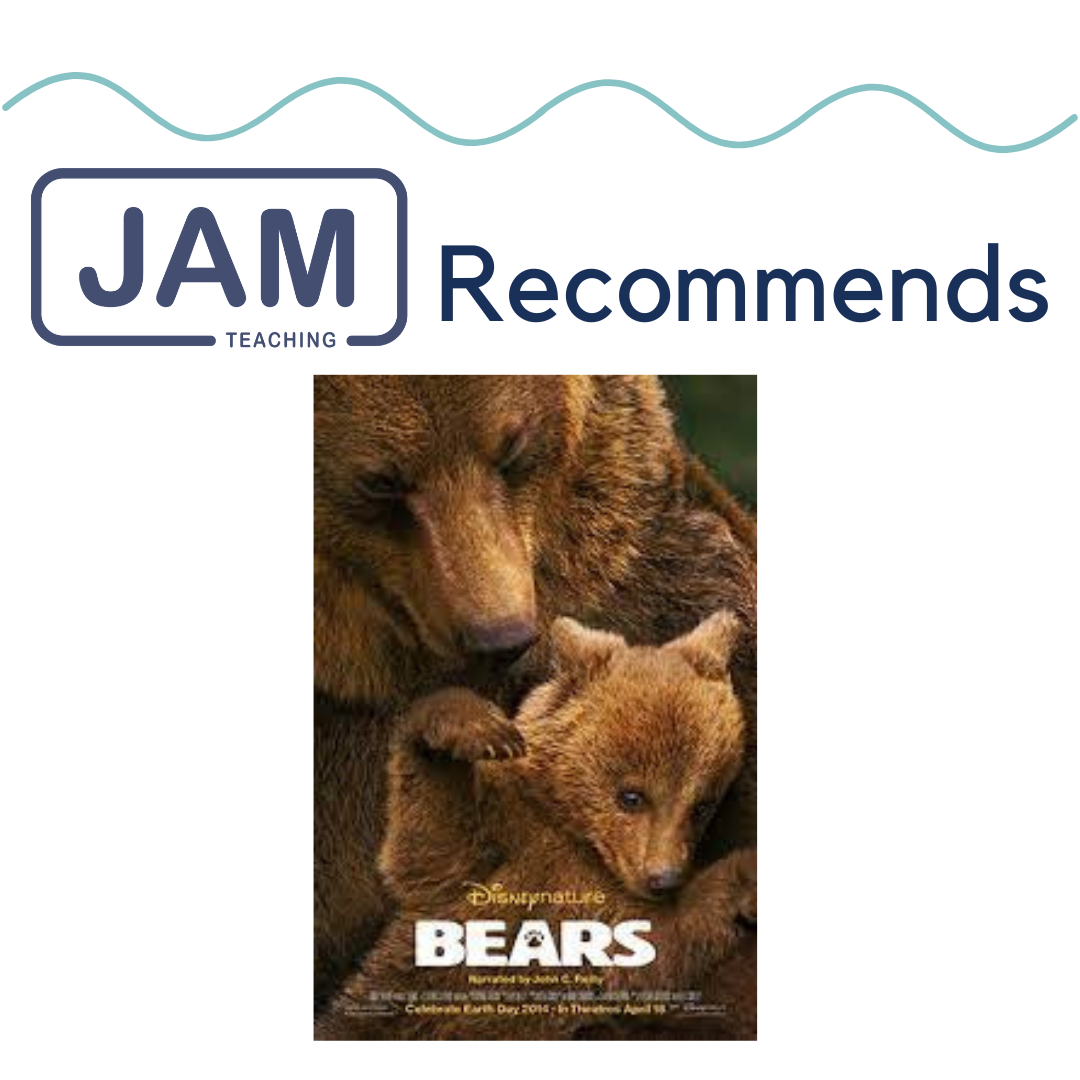 JAM Recommends Bears 🐻