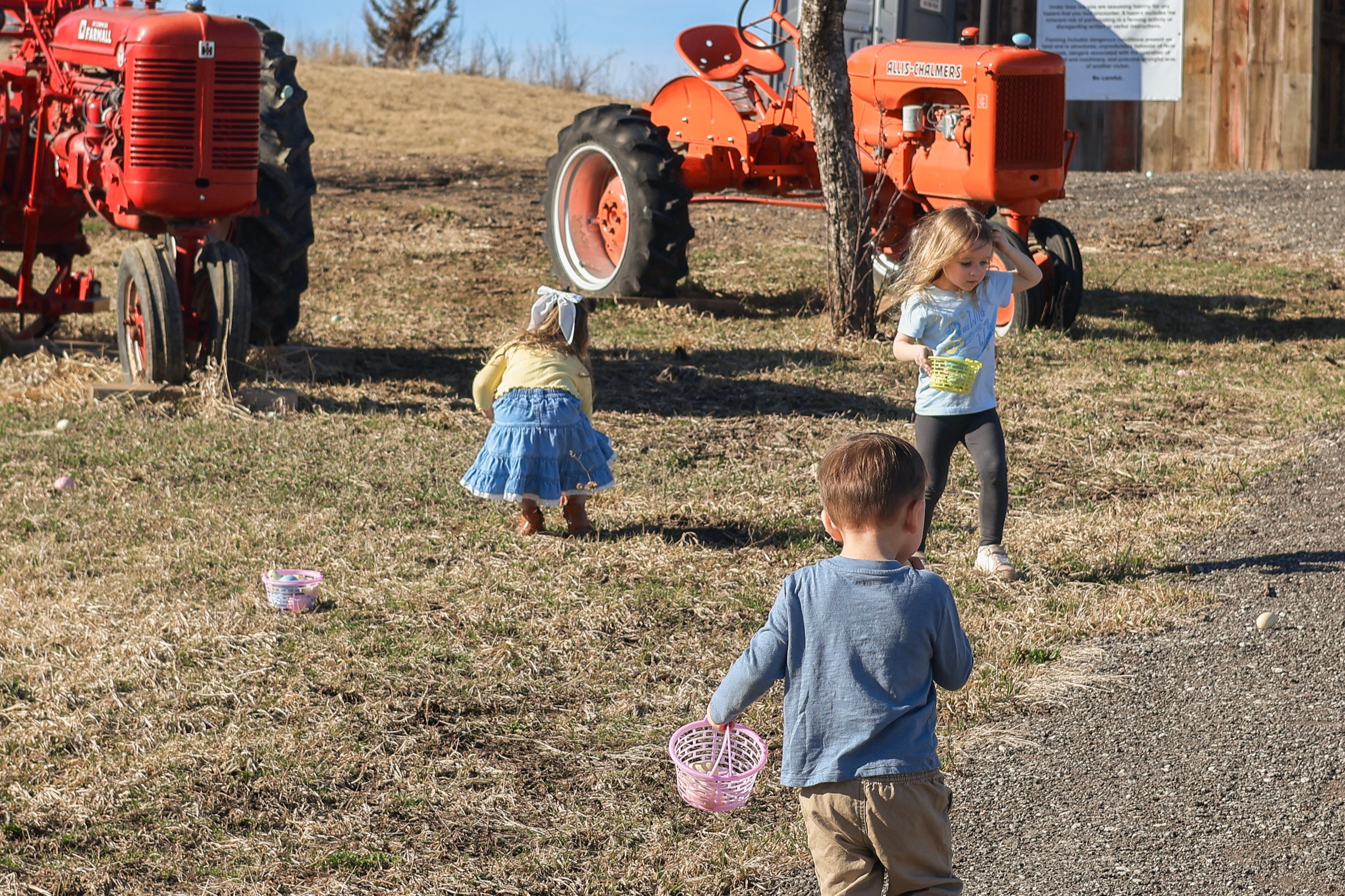 Easter egg hunt at Wilson's Farm
